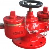 供应多级式水泵接合器