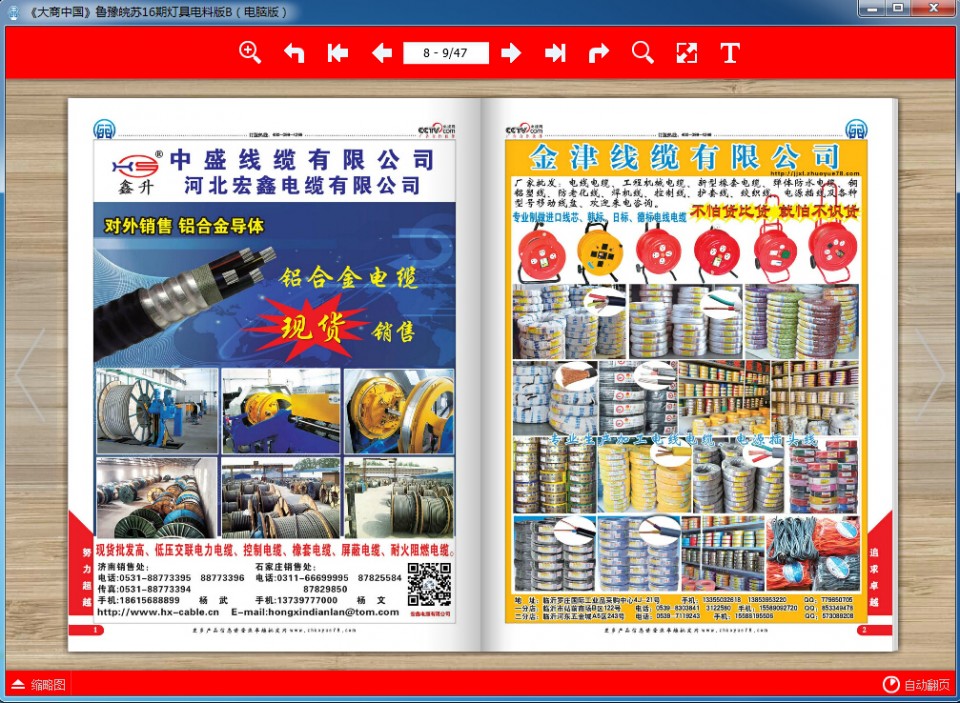 《大商中国》电子杂志鲁16期灯具电料专刊 电脑版在线阅读
