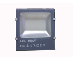 LED 100W IP65 上海飞瑞照明