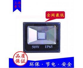 LED 50W IP65