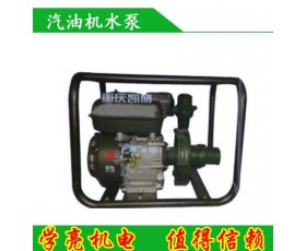 供应汽油机水泵