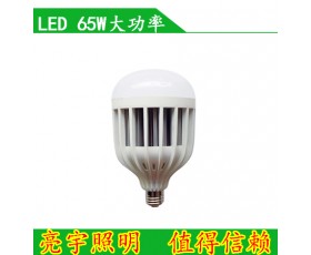 LED 65W大功率 节能灯